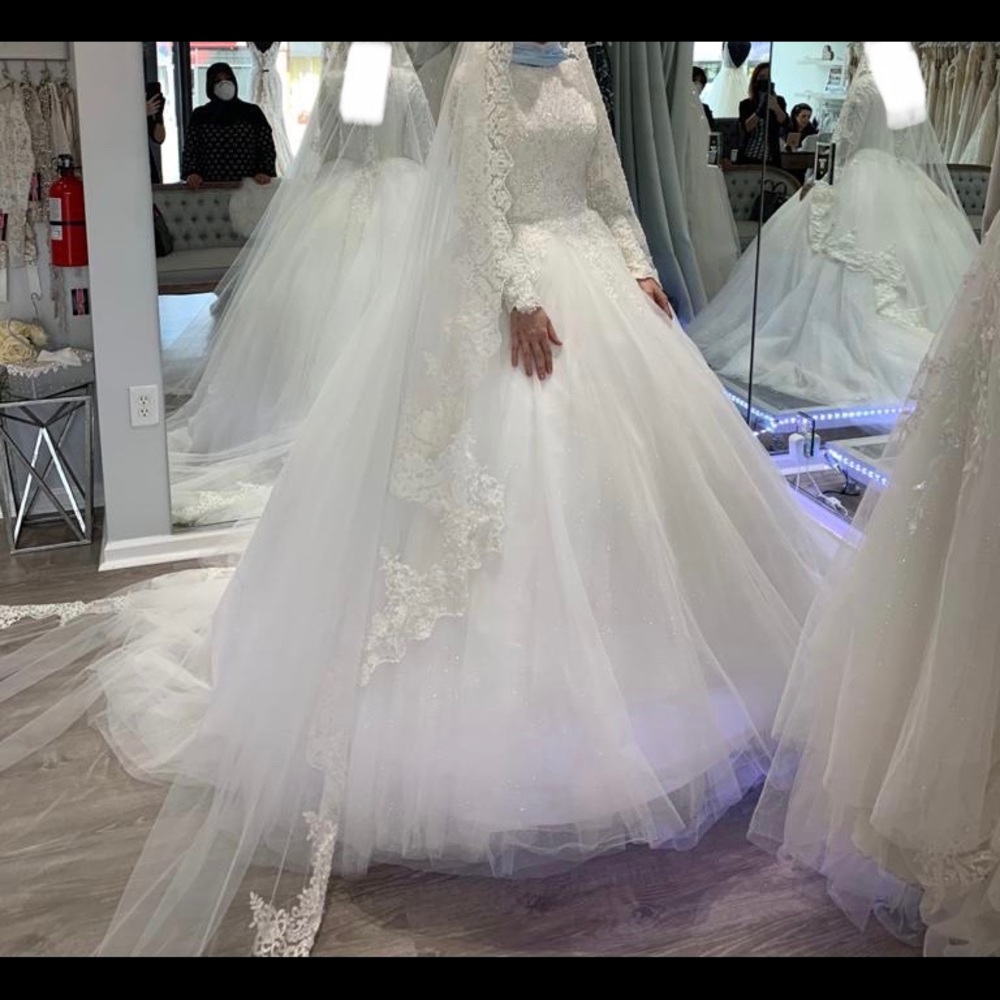 Long sleeve wedding dress with veil.